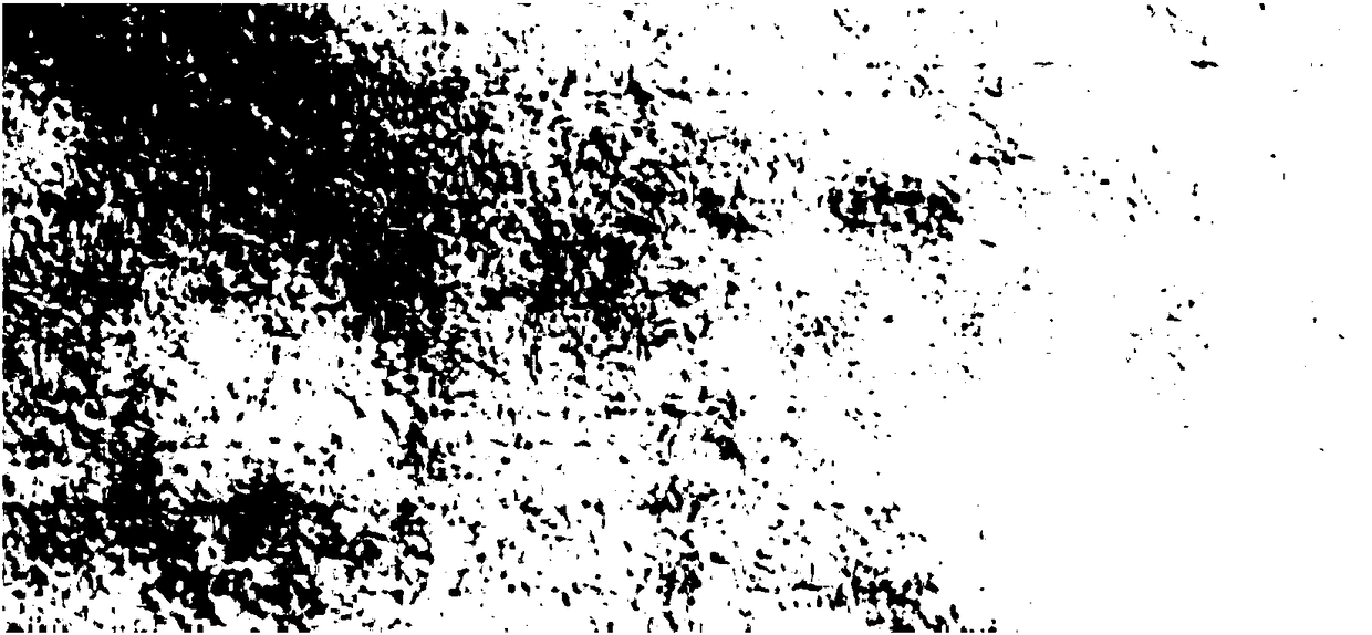 Medicine residue envelope paper and preparation method thereof