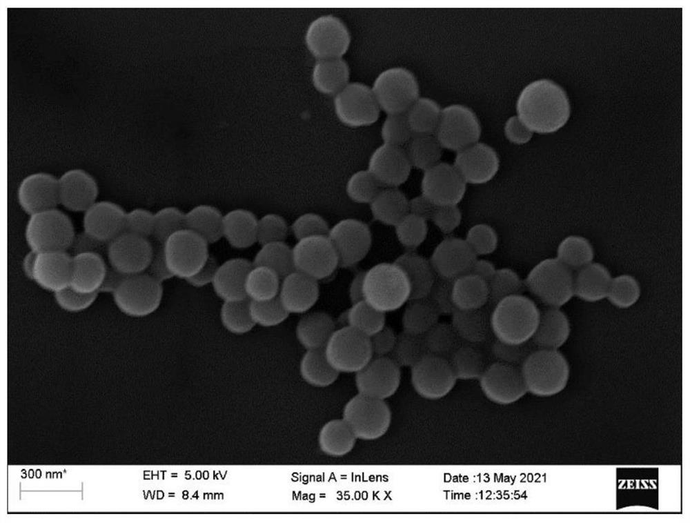 Extracellular matrix-imitated hydrogel dressing for diabetic foot ulcer and preparation method