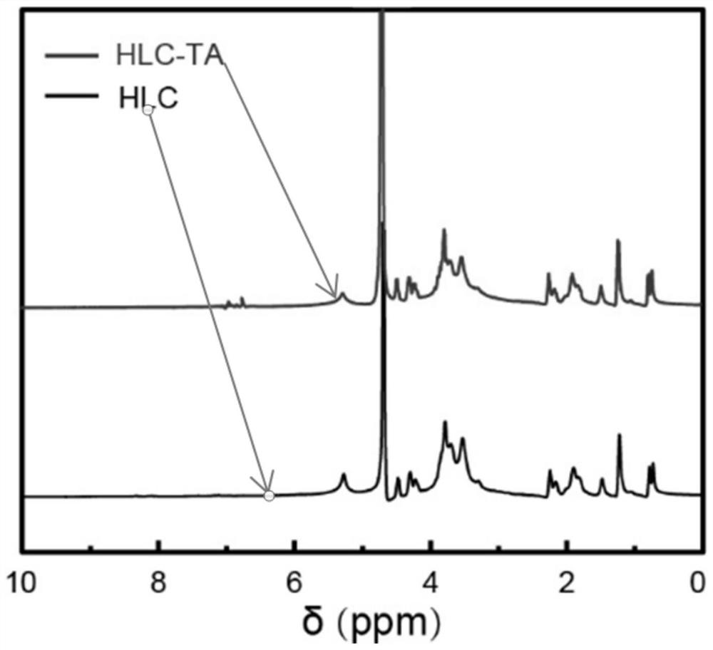 Extracellular matrix-imitated hydrogel dressing for diabetic foot ulcer and preparation method