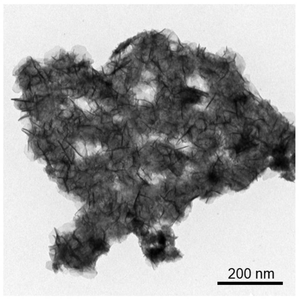 A preparation method of n,p-codoped three-dimensional co nanoflowers and the resulting materials and applications