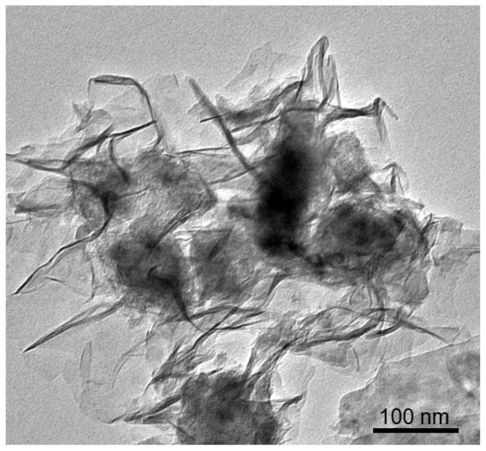 A preparation method of n,p-codoped three-dimensional co nanoflowers and the resulting materials and applications