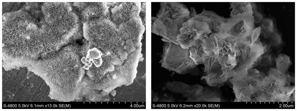 A preparation method of n,p-codoped three-dimensional co nanoflowers and the resulting materials and applications