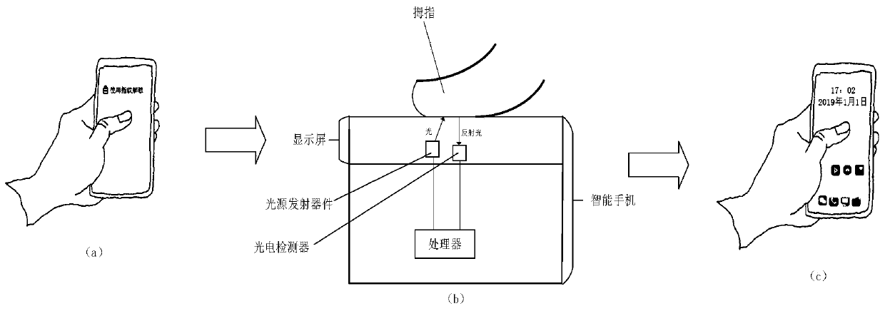 Display component, display screen and electronic device