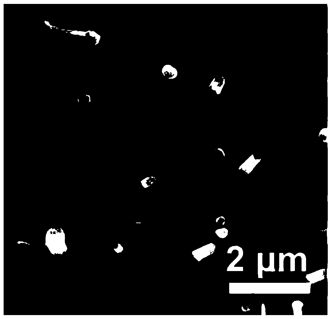 Porous pro-lithium copper foil current collector material and preparation method thereof