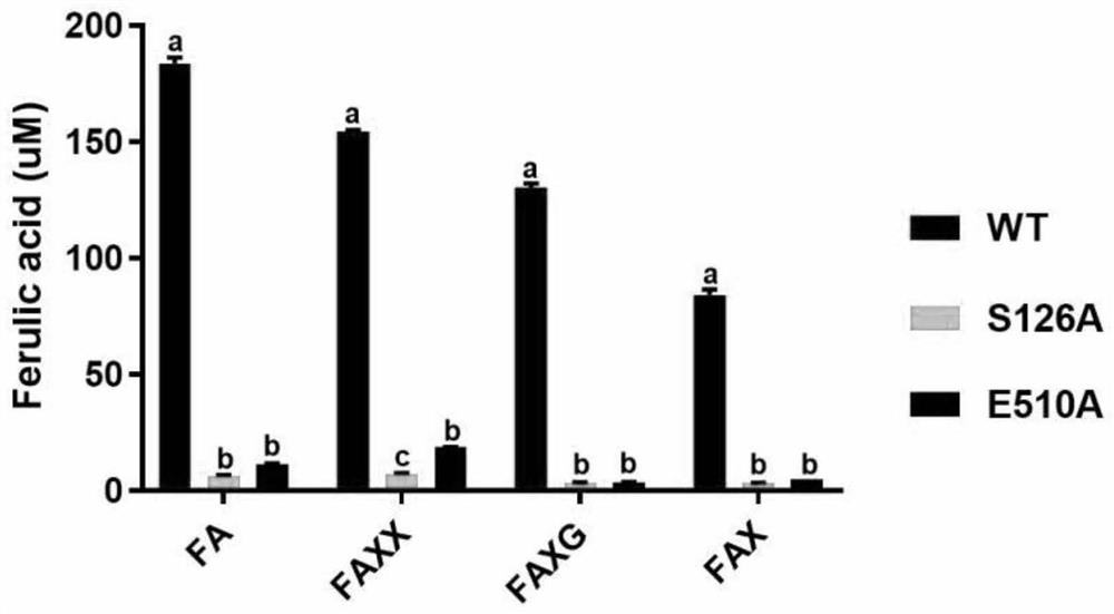 A kind of ferulic acid esterase, mutant and application