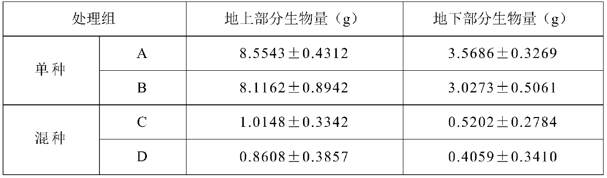 Method of utilizing semen cuscutae and humulus japonicus to jointly control alternanthera philoxeroides