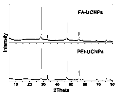 Preparation method of folic acid self-assembled water-soluble rare-earth doped up-converted nanometer material