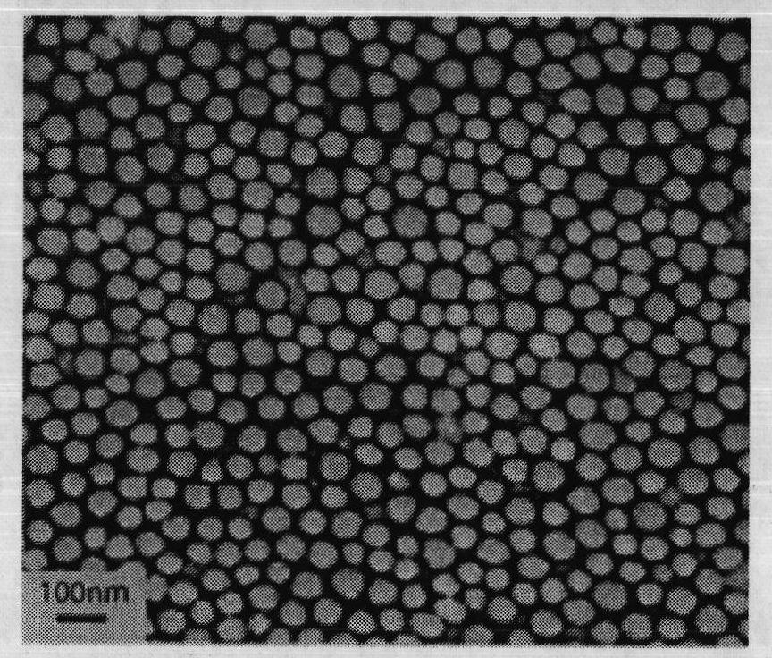 Polymer surfactant and core-shell amphiphilic polymer microsphere as well as preparation method thereof