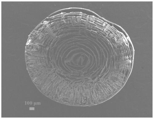 Amino-rich compound modified chitosan-zirconium composite gel ball as well as preparation and application thereof