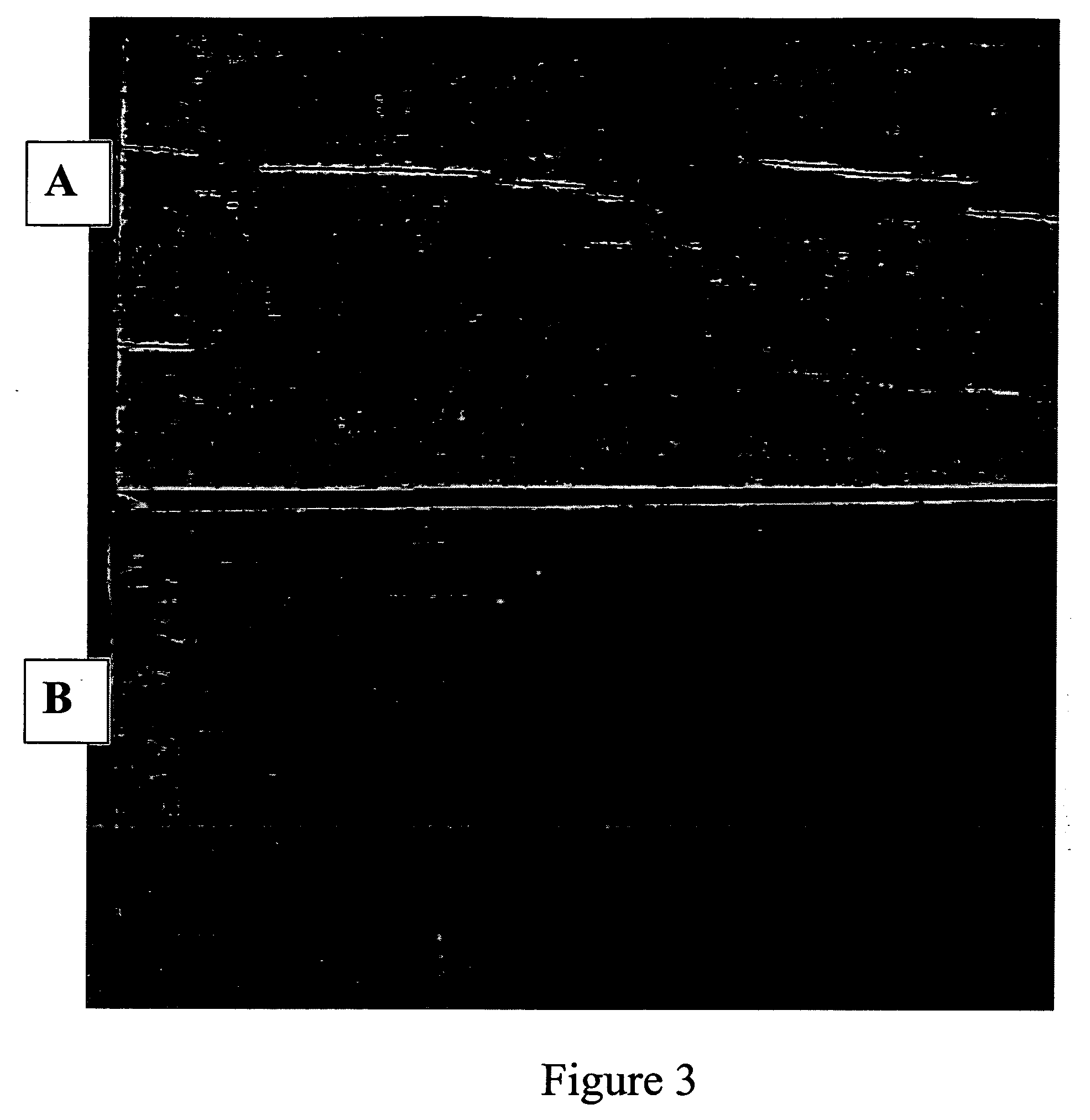 Composition and process for coloring and preserving wood