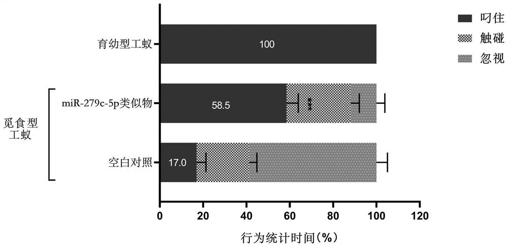 A kind of small molecular RNA that regulates individual division of labor in red import ant workers and its application