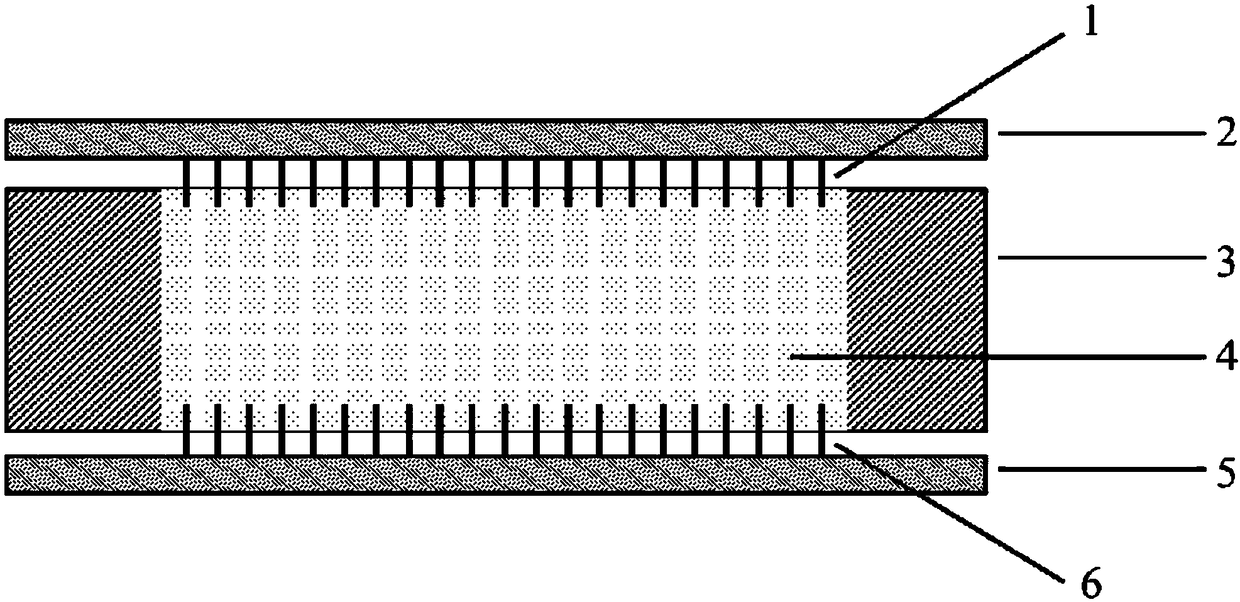 Electrode structure of electrolyte thermoelectric battery and preparation method of electrolyte thermoelectric battery