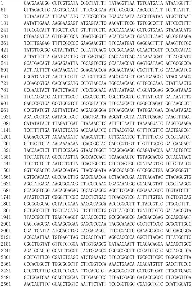 Construction system of novel transposon mutant strain library, novel transposon mutant library and application