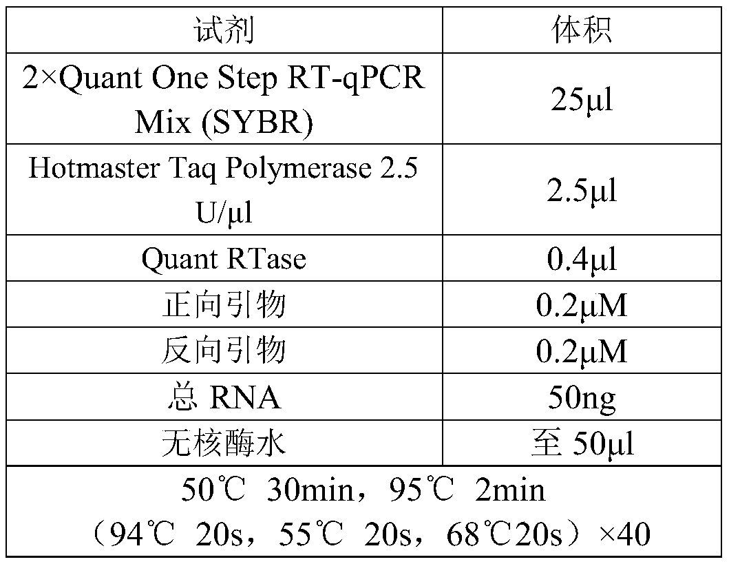 Biomarker related to occurrence and development of gastric adenocarcinoma