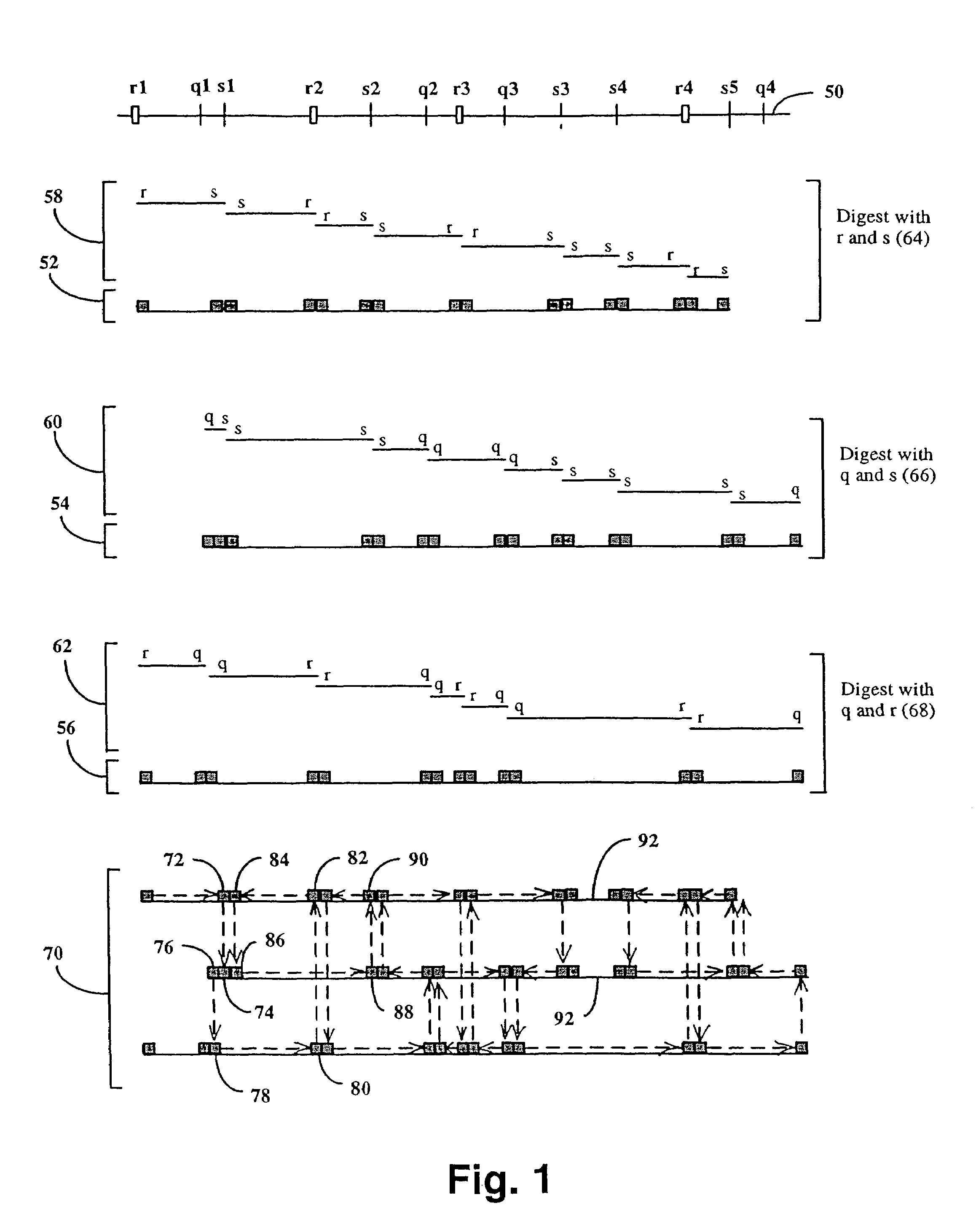 Method and compositions for ordering restriction fragments