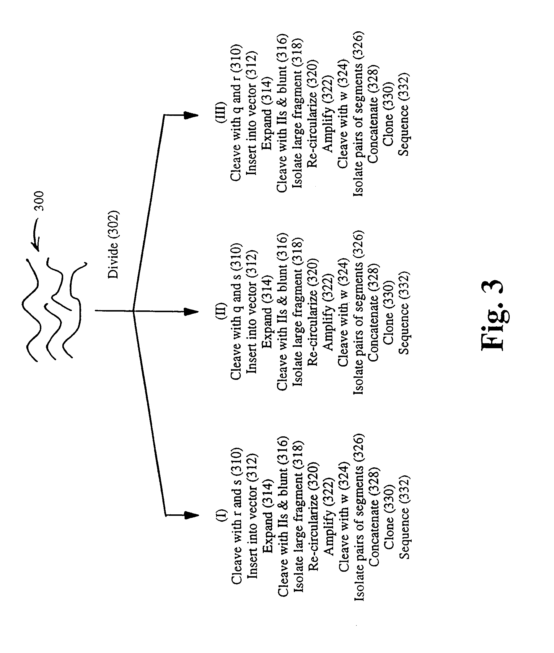 Method and compositions for ordering restriction fragments