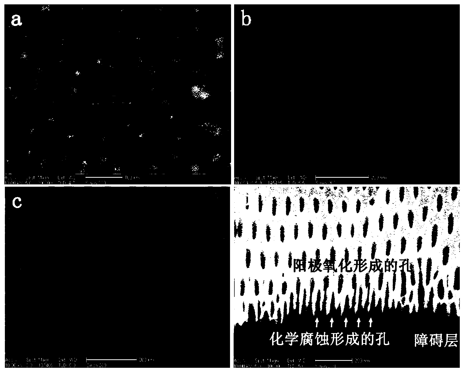 Electrostatic condenser based on nano electrodes and preparation method of electrostatic condenser