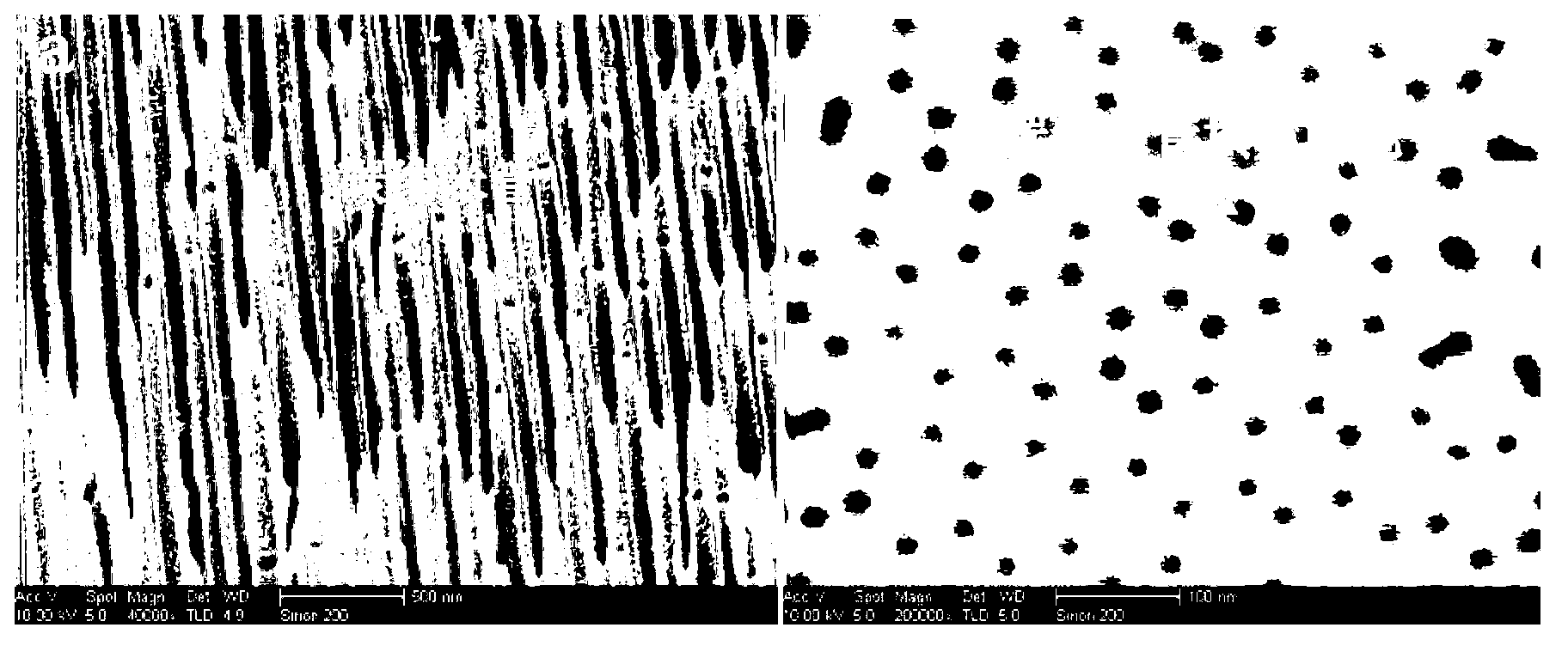 Electrostatic condenser based on nano electrodes and preparation method of electrostatic condenser