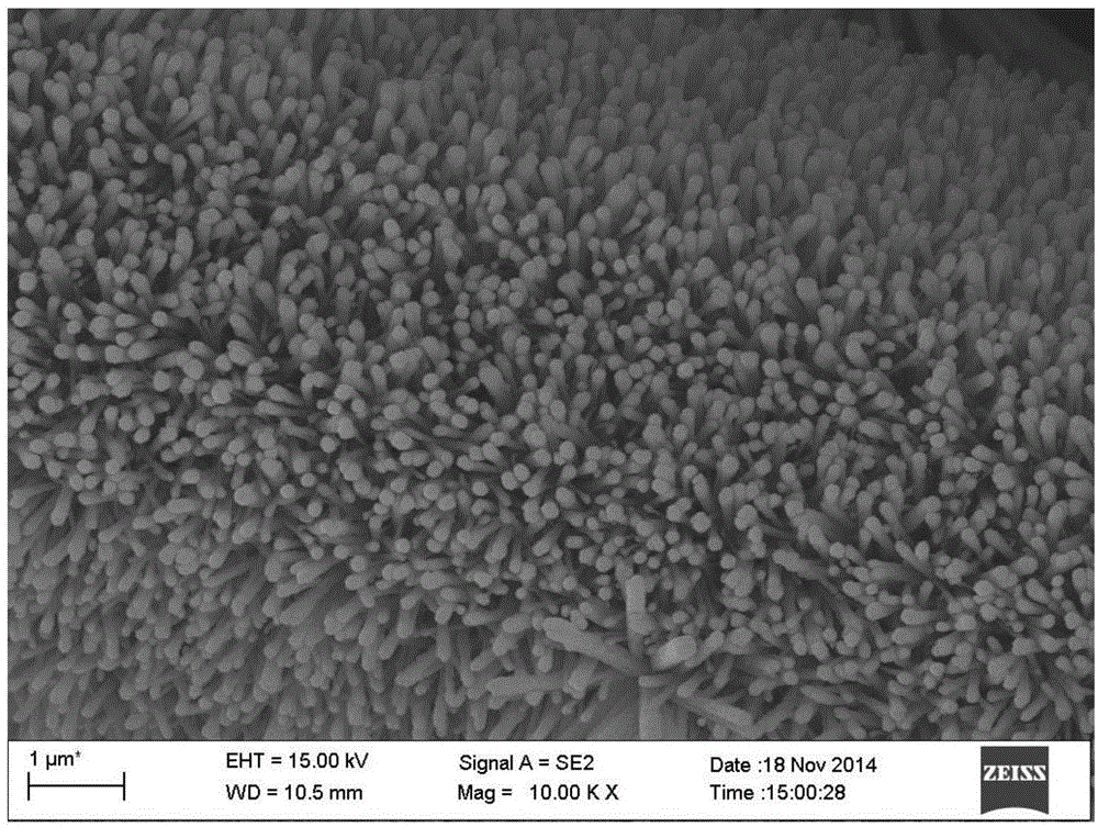 Preparation method for ordered ultra-thin catalyst layer, catalyst layer and application