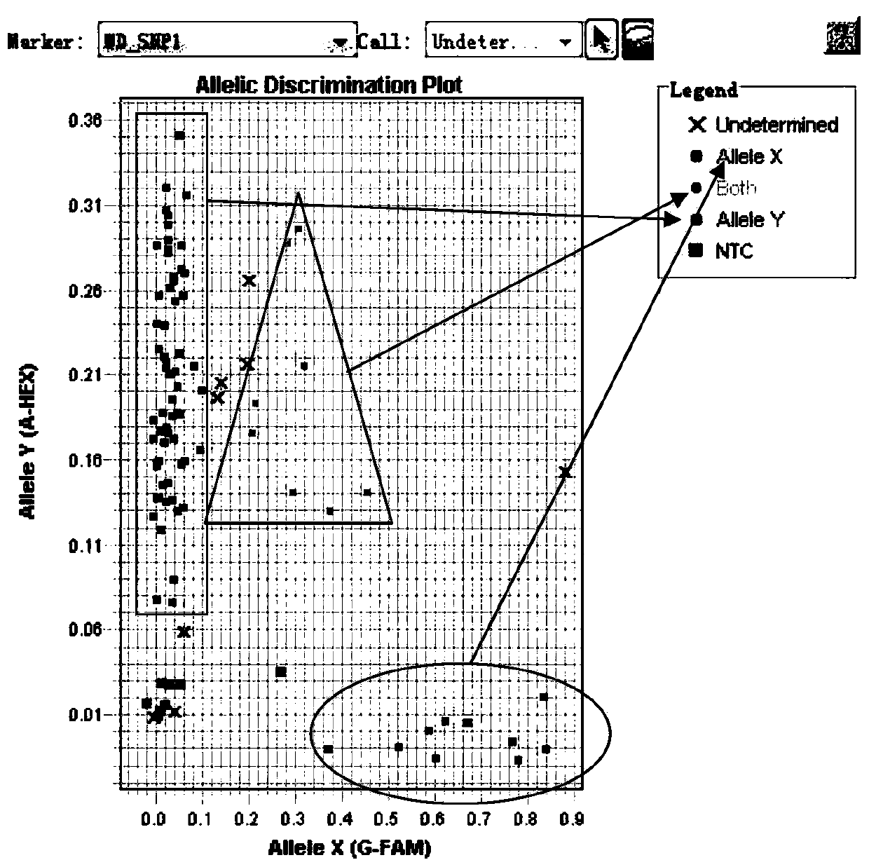 Lentil KASP marker developed based on RNA-Seq and application thereof