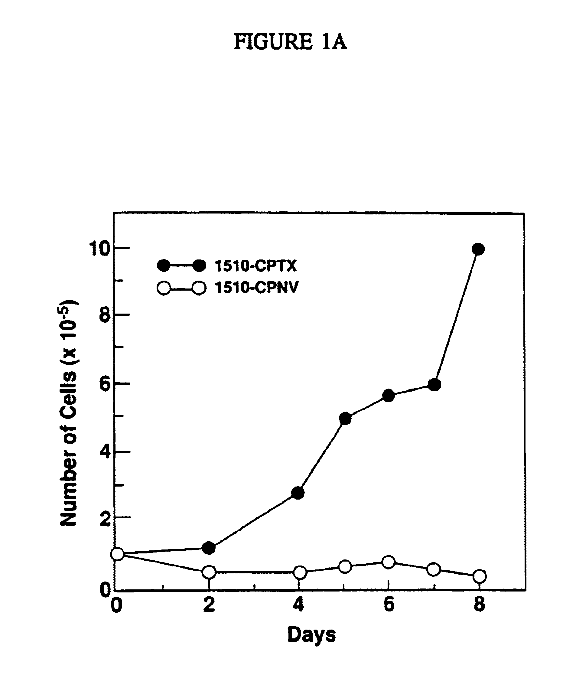 Immortal human prostate epithelial cell lines and clones and their applications in the research and therapy of prostate cancer