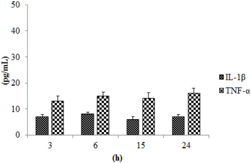 Traditional Chinese medicine composition for treating gouty arthritis and application thereof