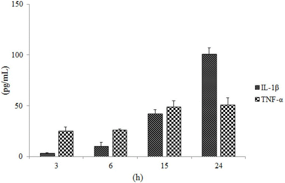 Traditional Chinese medicine composition for treating gouty arthritis and application thereof