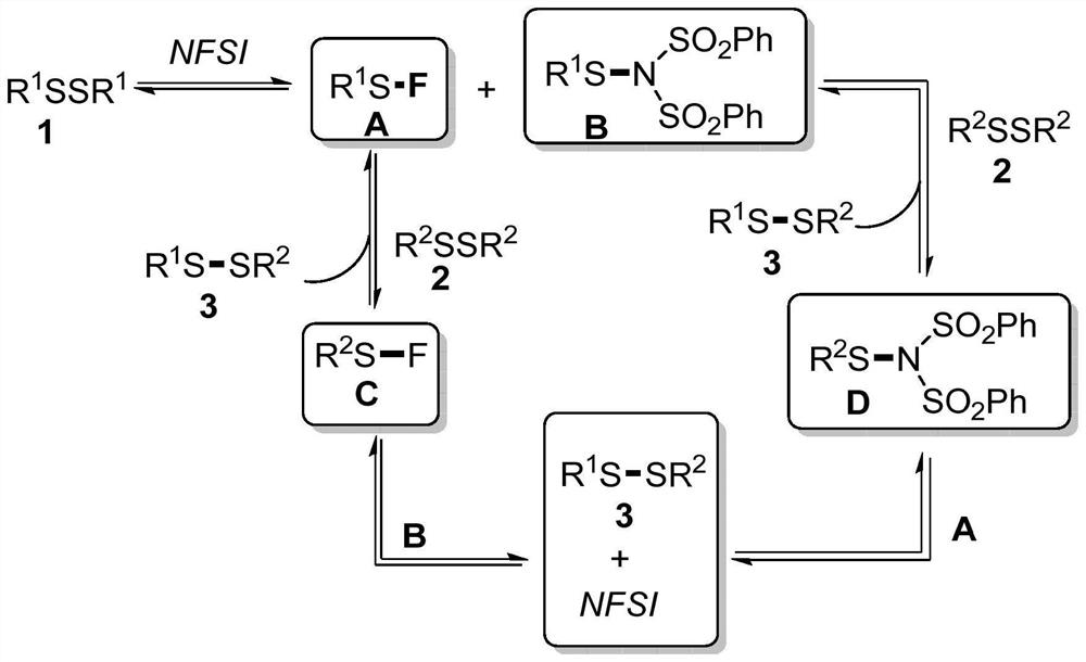 Method for catalytically synthesizing asymmetric disulfide derivative by NFSI