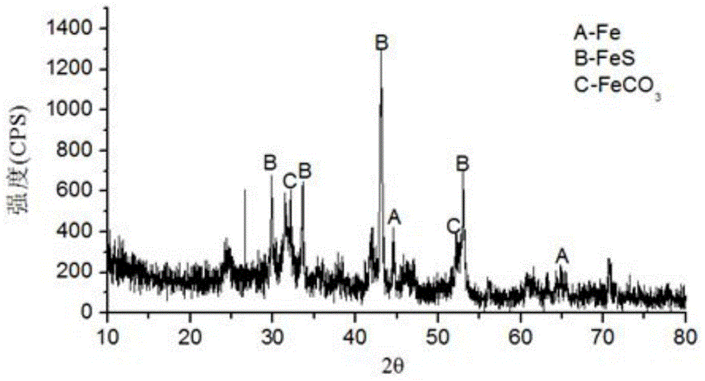 Anaerobic granular sludge capable of reinforcing dechlorination performance and preparation method and application of anaerobic granular sludge