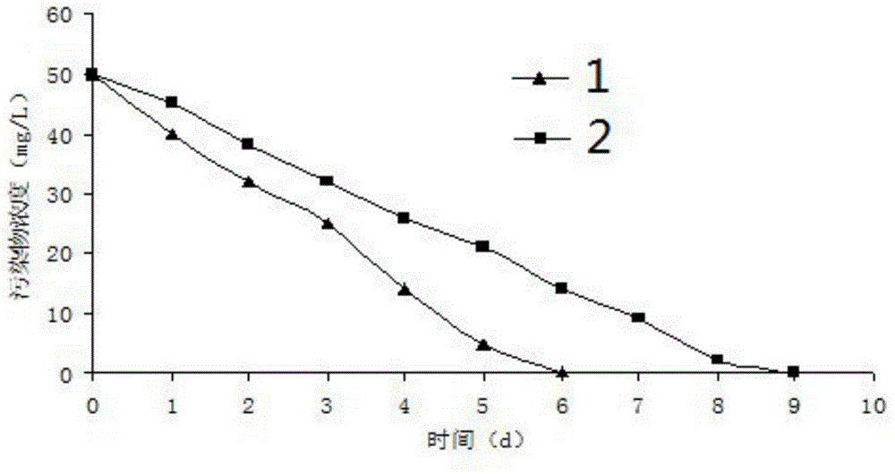 Anaerobic granular sludge capable of reinforcing dechlorination performance and preparation method and application of anaerobic granular sludge