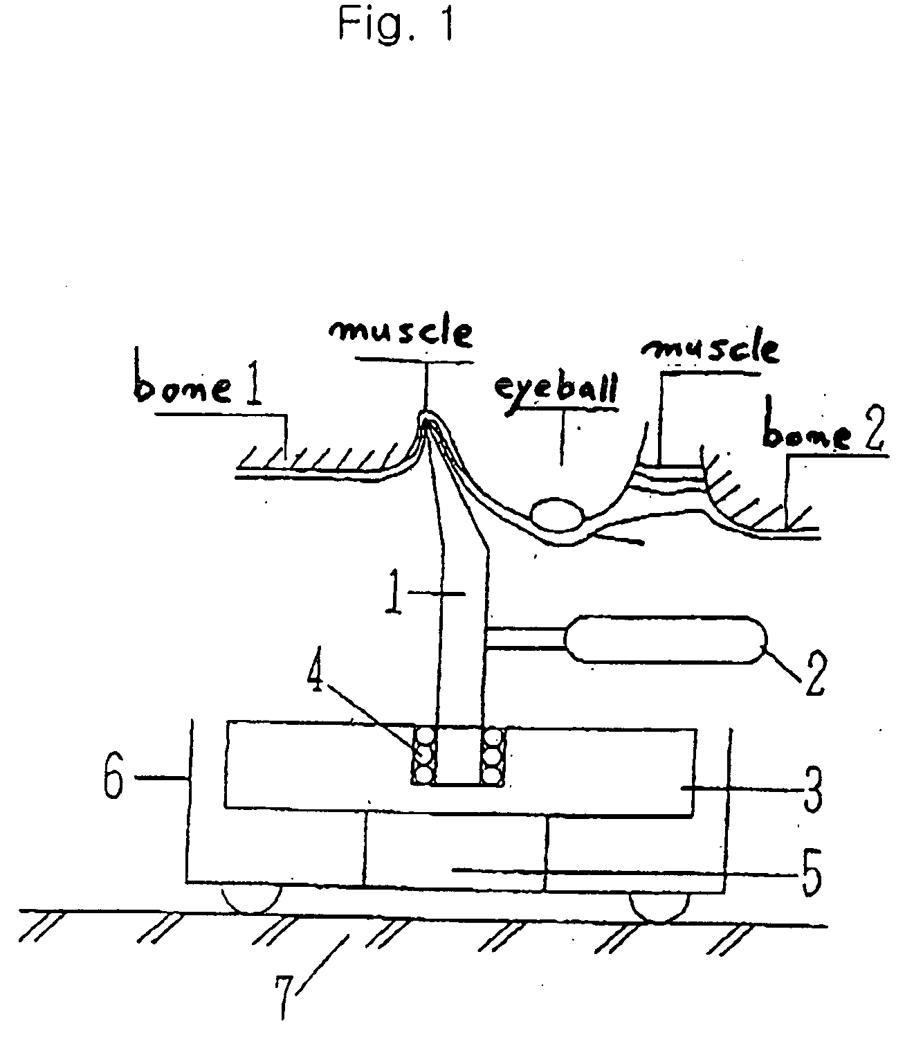 Eyesight and hair recovery device, and medical treating method