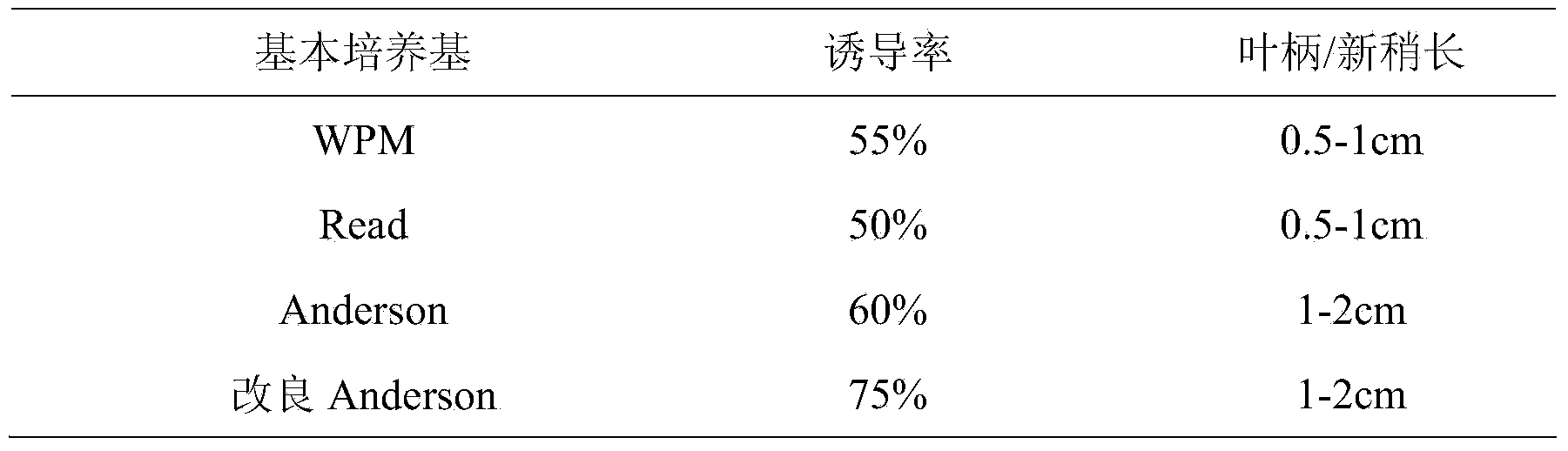 Tissue culture propagation method for rhododendron hancockii