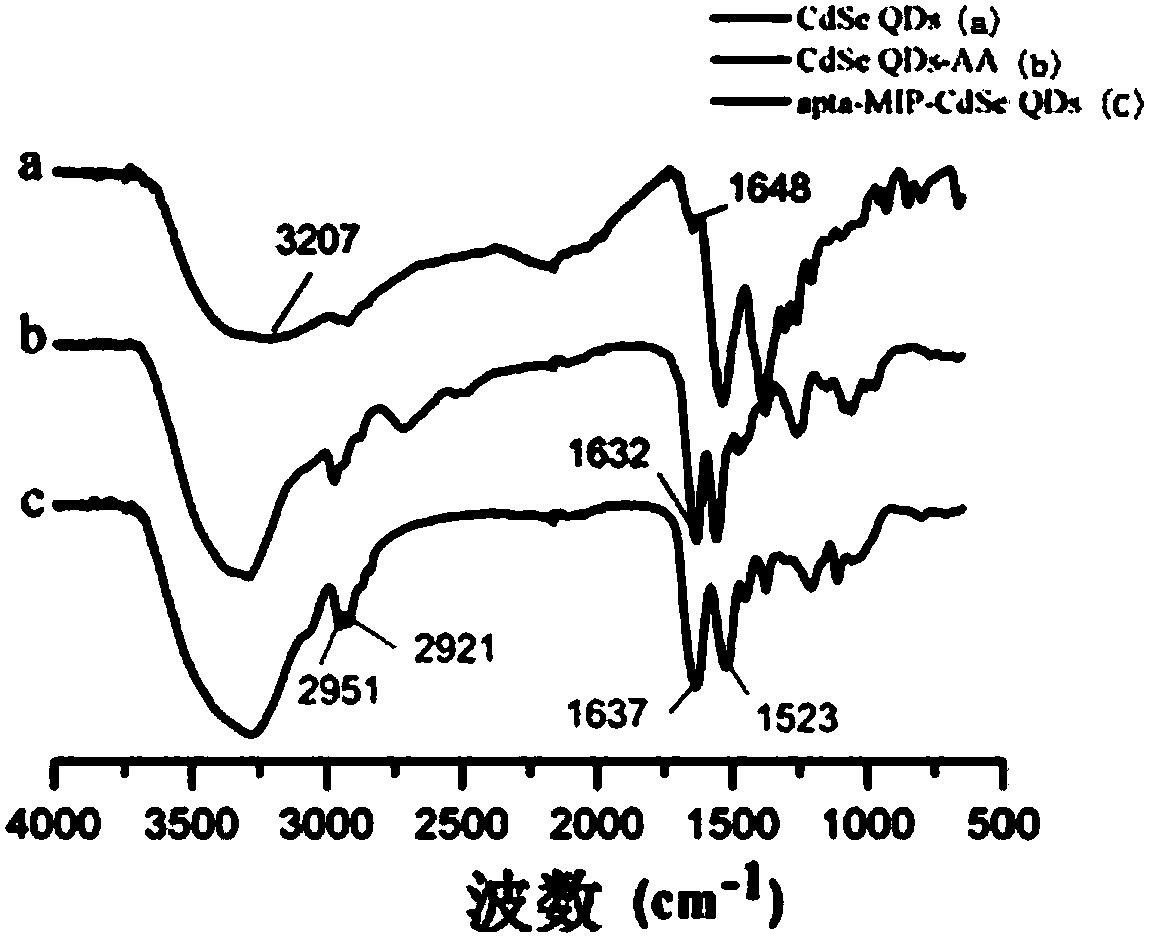 Aptamer-molecular imprinting fluorescent sensor having double specific recognition on kanamycin as well as preparation method and application of sensor