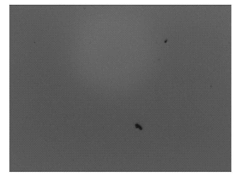 Method for cleaning glass substrate for coating