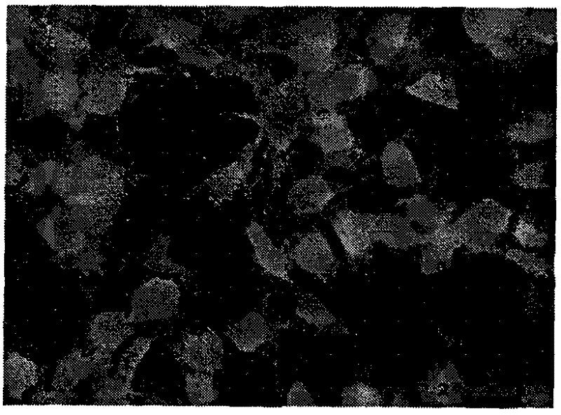 A preparation method of biocompatible vascular stent or heart valve surface coating