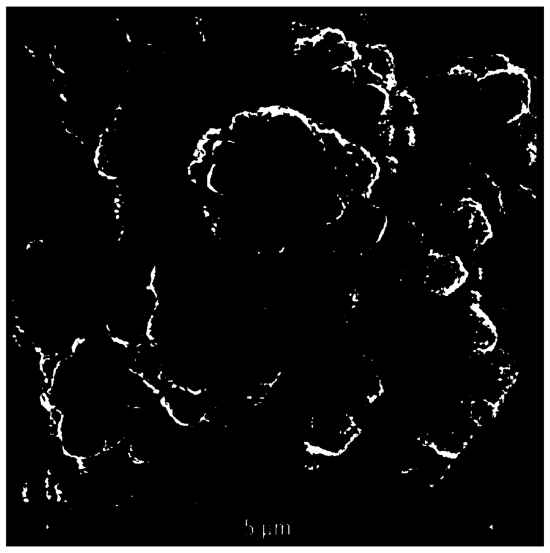 Organic/inorganic combined antibacterial composition and preparation method and application thereof