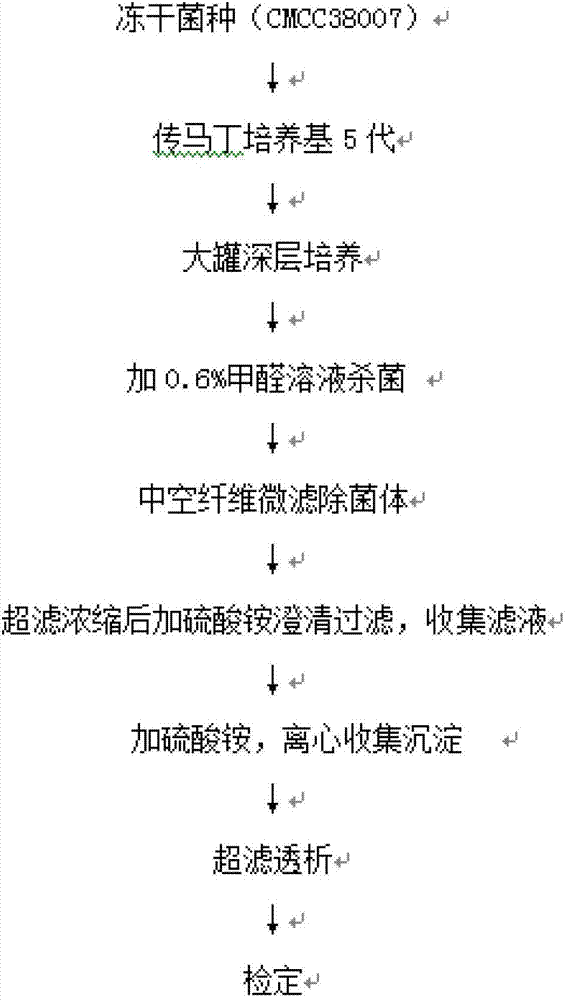 Preparation method of diphtheria toxoid vaccine