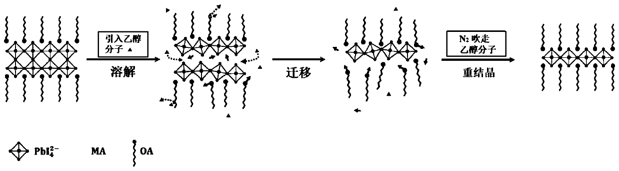 Post-treatment method for regulating and controlling two-dimensional perovskite crystallization process by utilizing ethanol