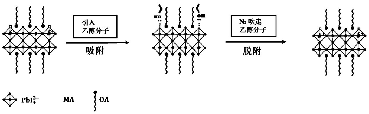 Post-treatment method for regulating and controlling two-dimensional perovskite crystallization process by utilizing ethanol