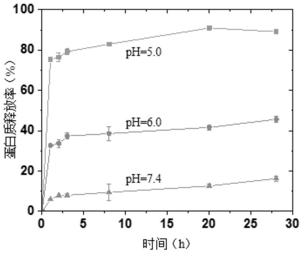 Metal organic framework material-enzyme compound as well as preparation method and application thereof