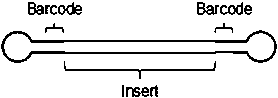 Barcode, linker sequence and kit for third-generation sequencing, and library construction method for third-generation sequencing