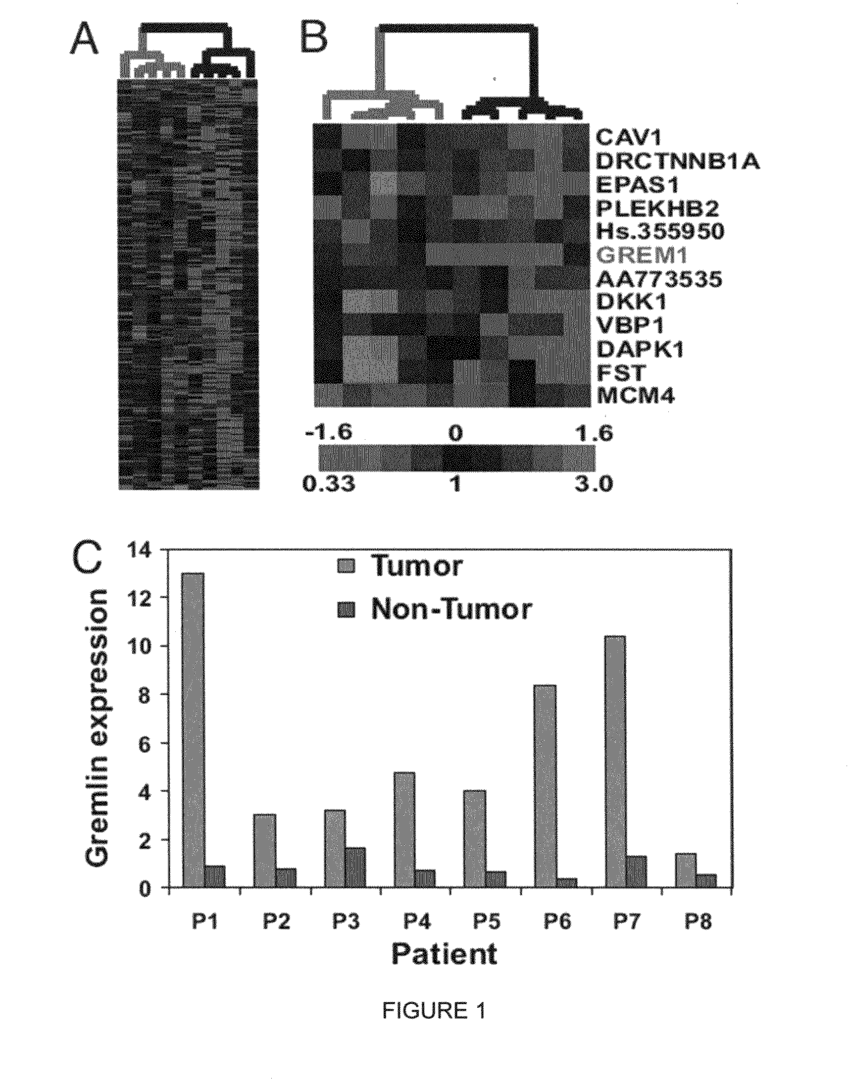 Bone morphogenetic protein antagonist and uses thereof