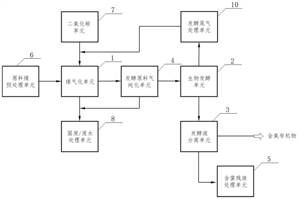 System and process for producing oxygen-containing organic matters by carbon dioxide and coal