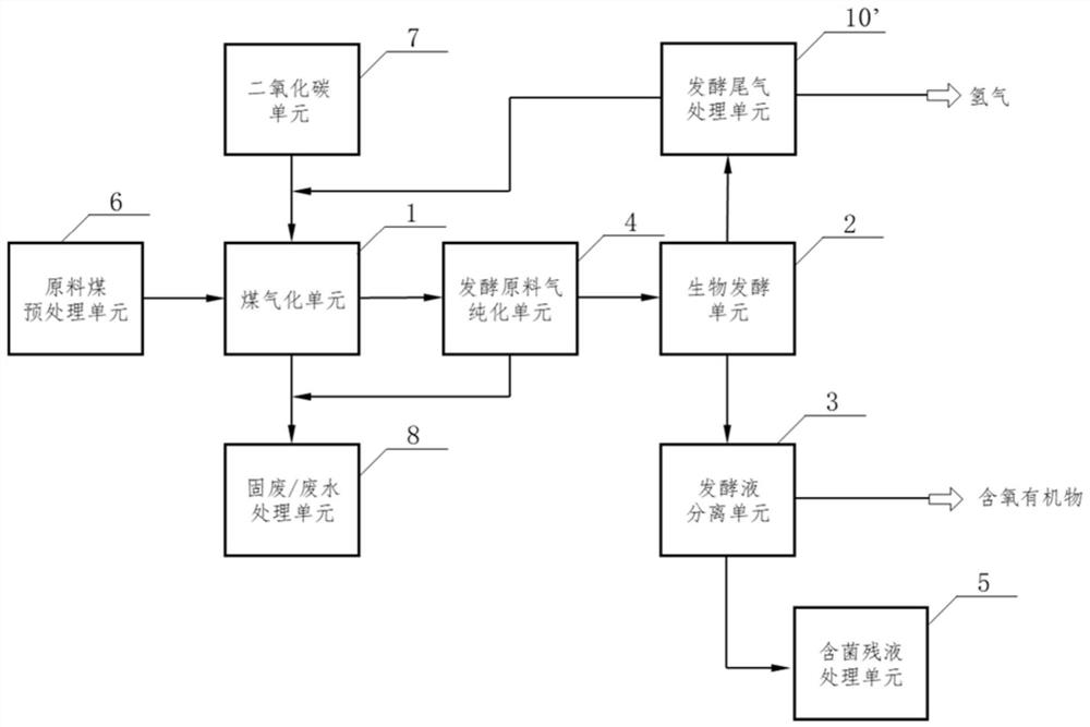 System and process for producing oxygen-containing organic matters by carbon dioxide and coal