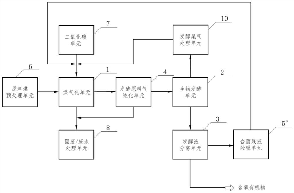 System and process for producing oxygen-containing organic matters by carbon dioxide and coal