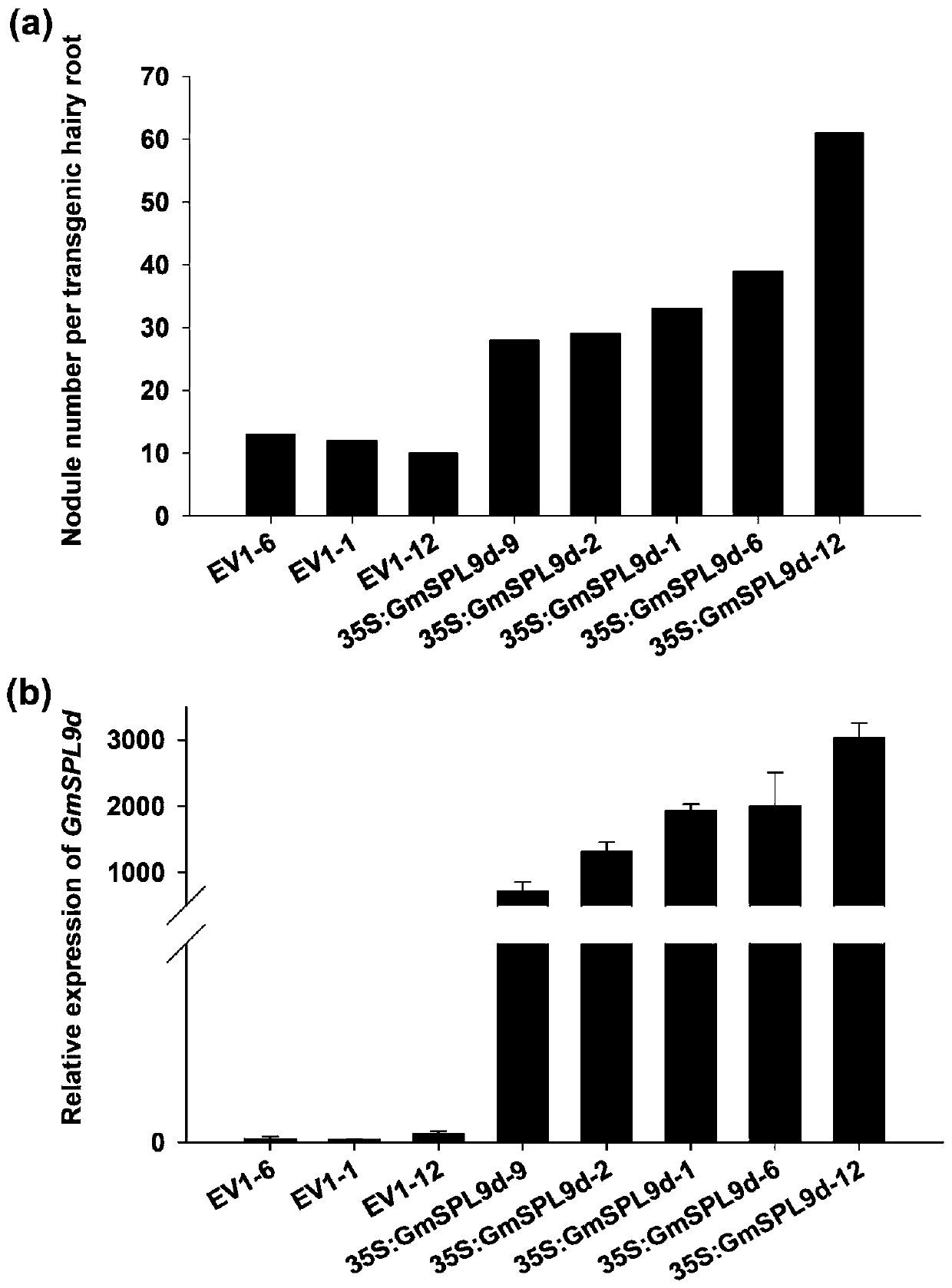 Method for improving nodulation and nitrogen fixation efficiency of plants