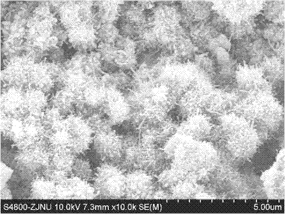 Method for manufacturing flower-shaped nickel-carbon nanotube composite material