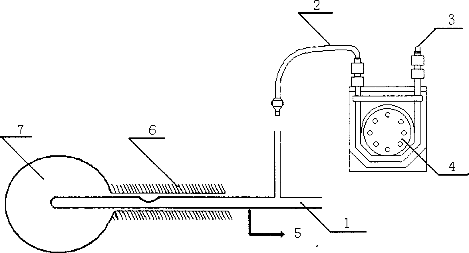 Testing method and testing device in dynamics of living body