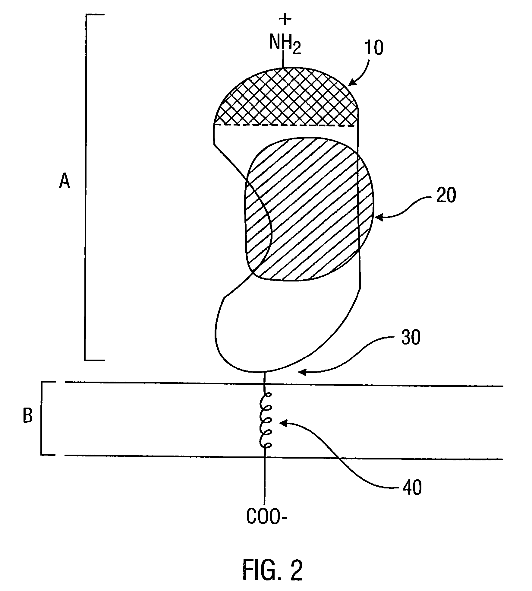 Combined tissue factor methods for coagulation and tumor treatment