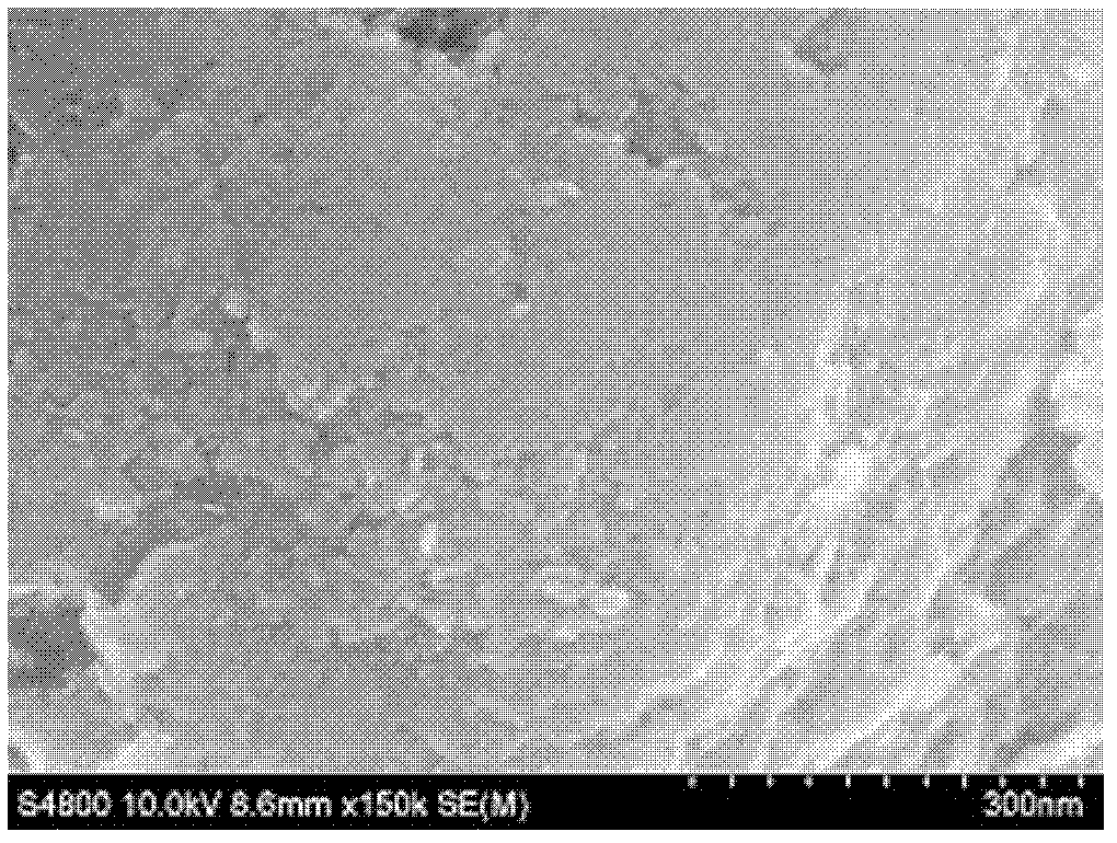 Tin bisulfide single-crystal nanosheets selectively absorbing organic dyes, and preparation method thereof